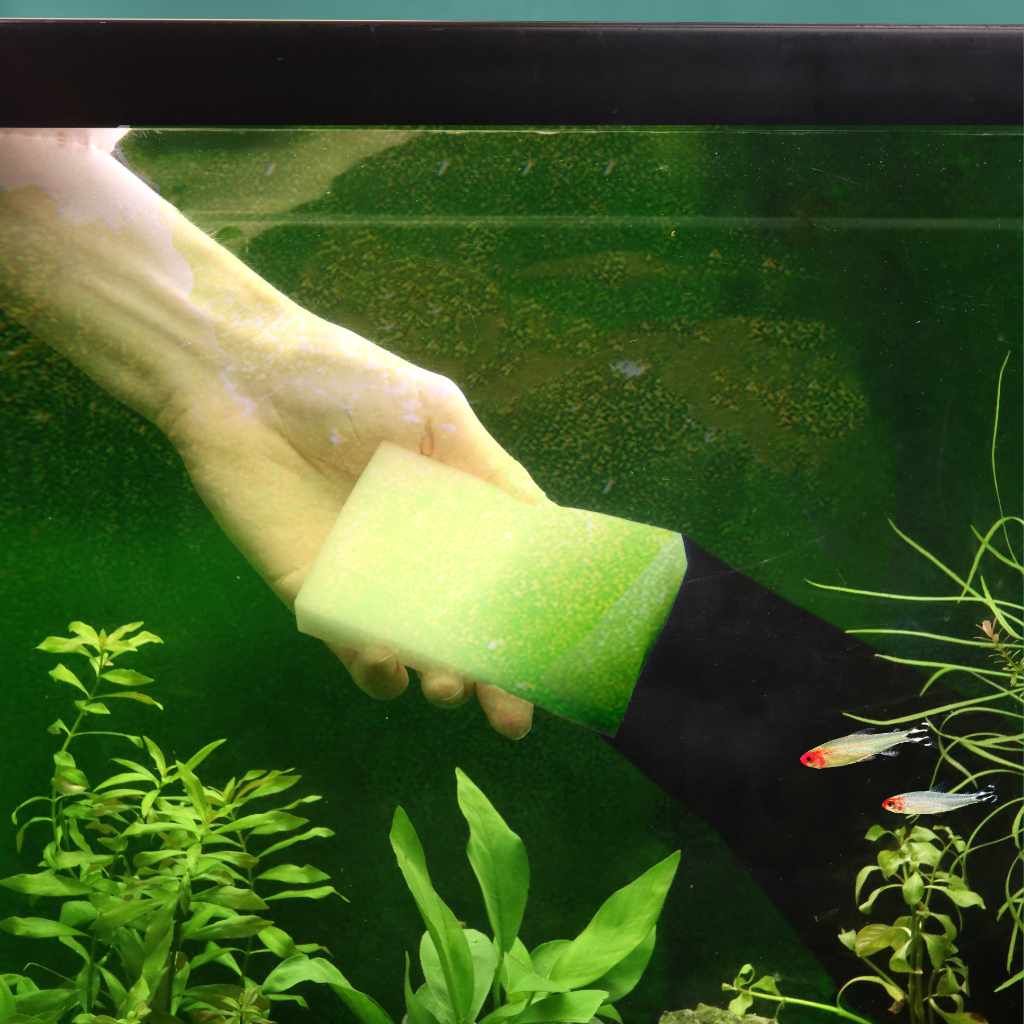 Algae Scrubber (3-PACK) - Image 3