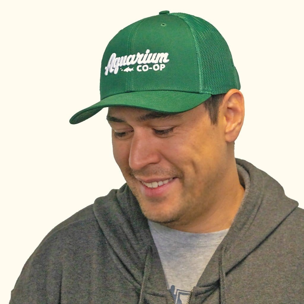 Aquarium Co-Op Baseball Logo Snapback Hat - Image 2