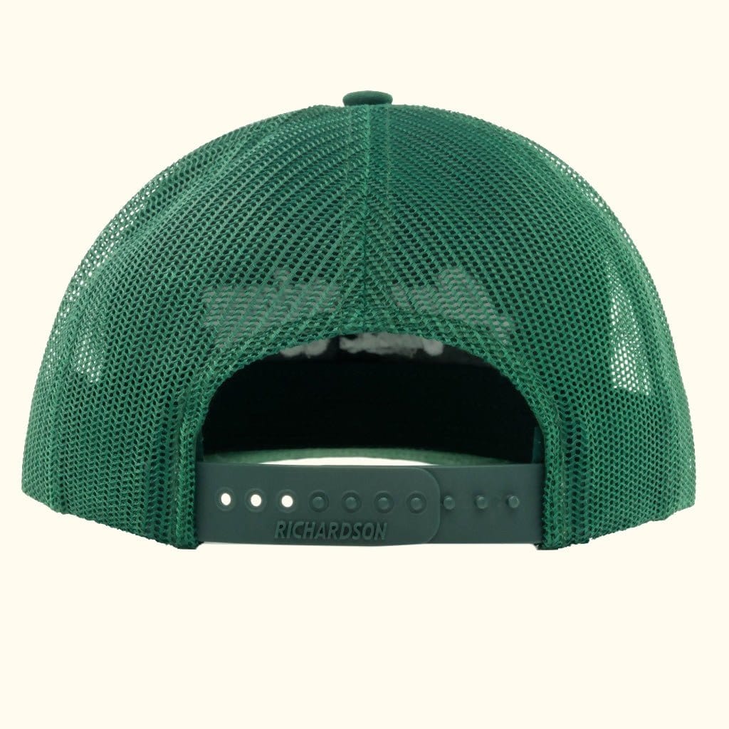 Aquarium Co-Op Baseball Logo Snapback Hat - Image 4