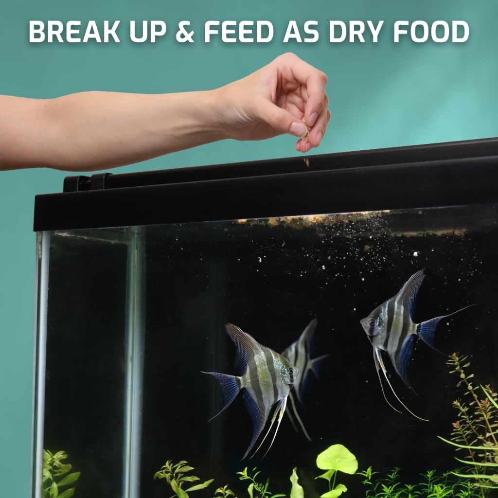 Aquarium Co-Op Freeze Dried Brine Shrimp Cubes - Image 6