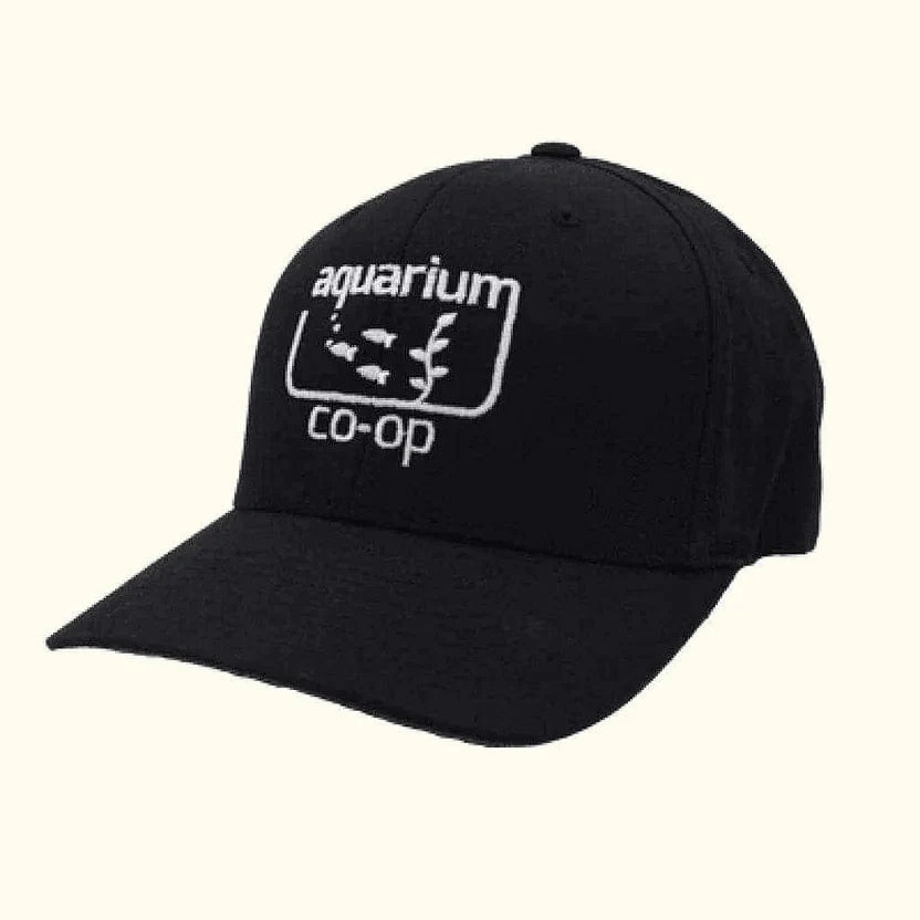 Aquarium Co-Op Black Baseball Hat