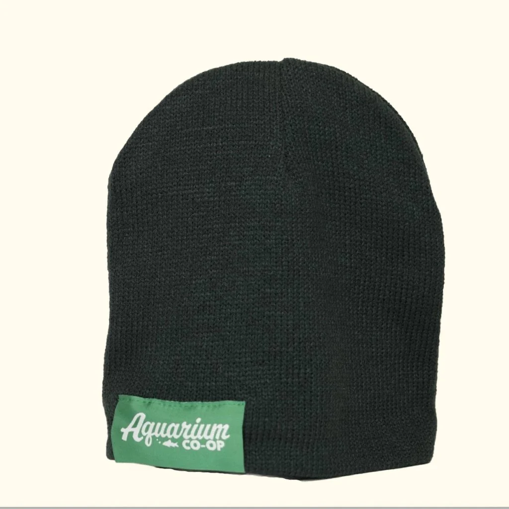 Merch