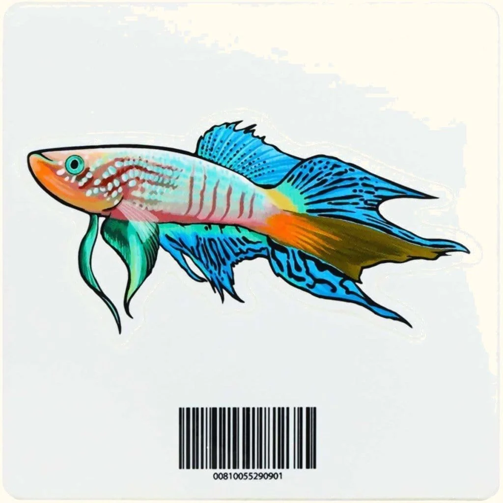 Blue Gularis Killifish Decal Sticker