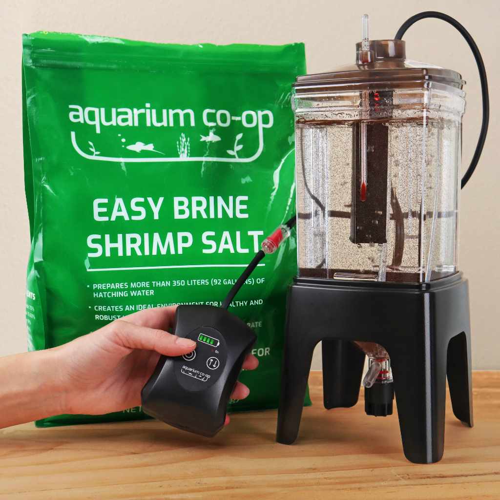 Easy Brine Shrimp Salt - Image 5