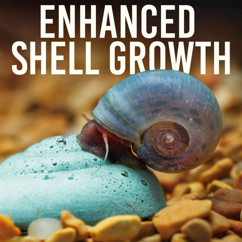 Easy Shrimp and Snail Shells - Image 3