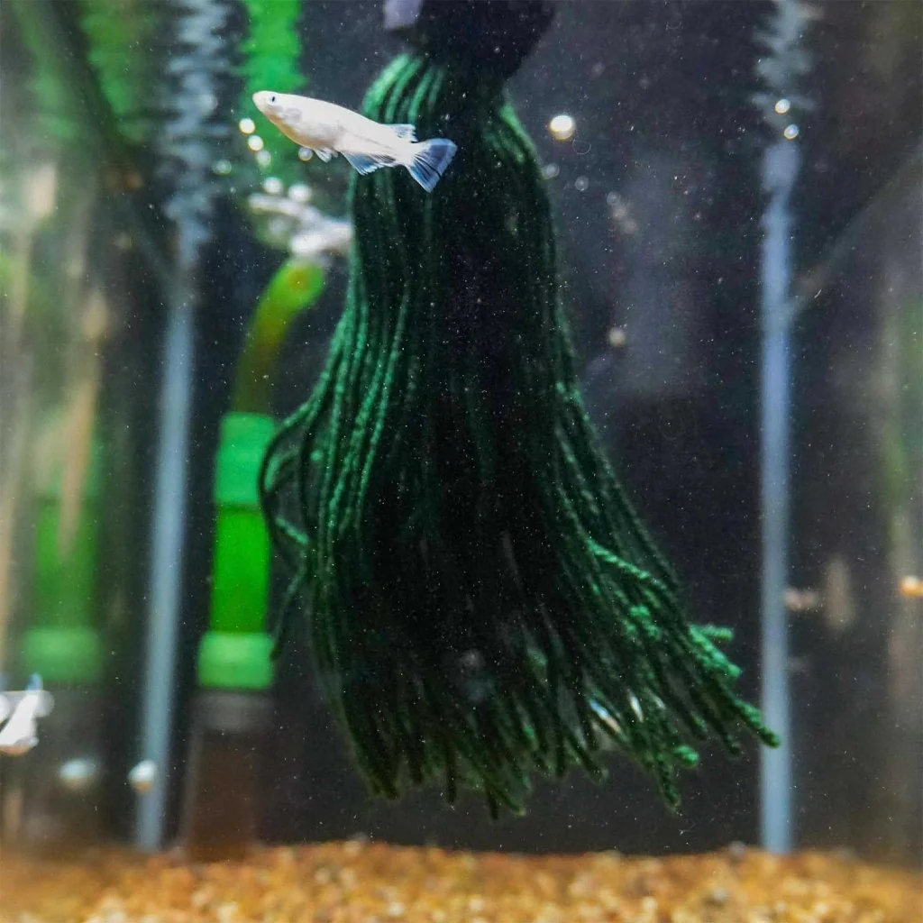 Easy Spawning Mop - Image 2