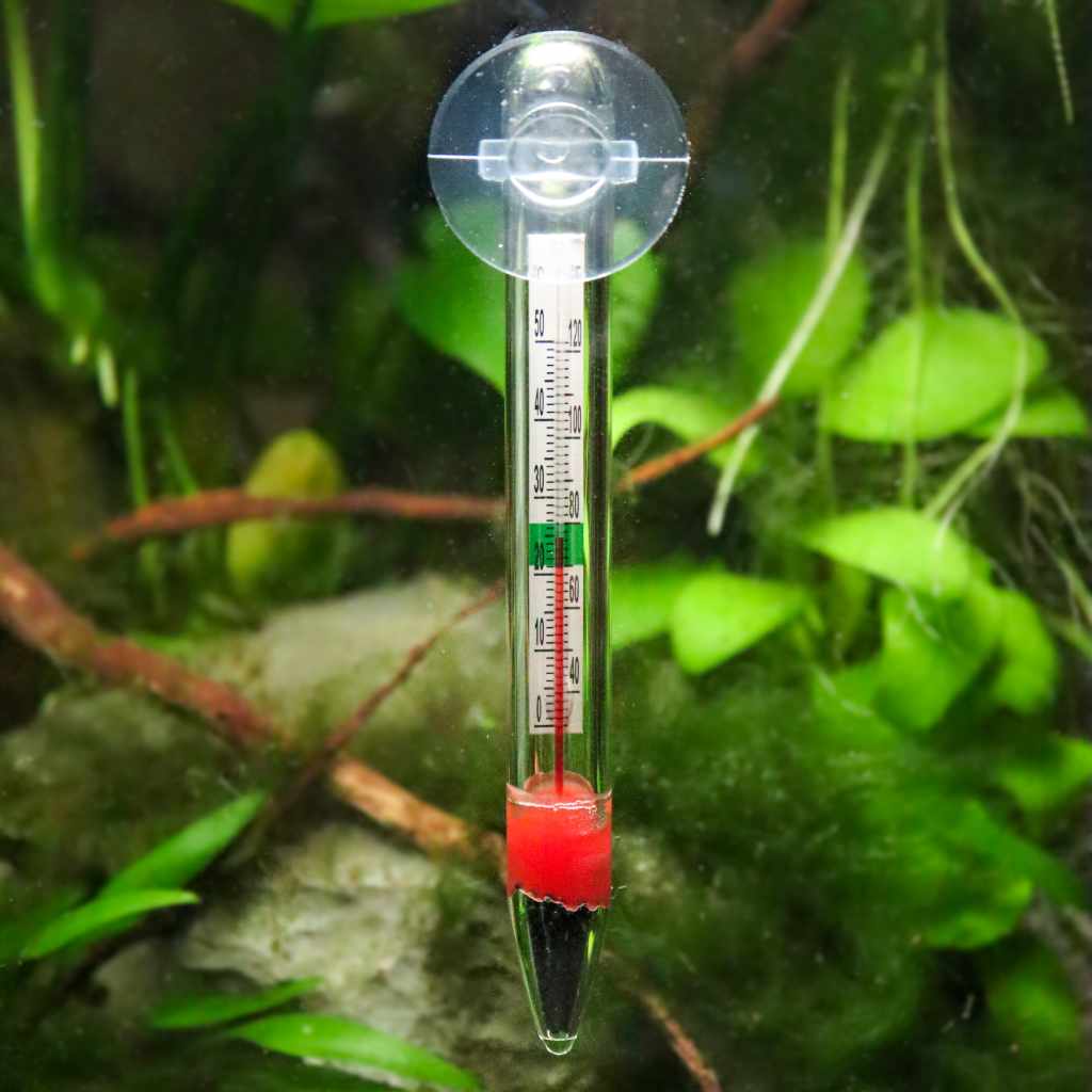 Floating Glass Thermometer - Image 2