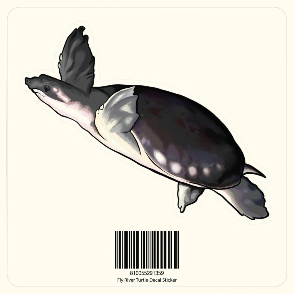 Fly River Turtle Decal Sticker
