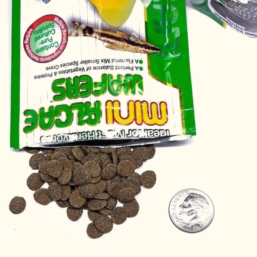 Hikari Mini Algae Wafers - Image 2