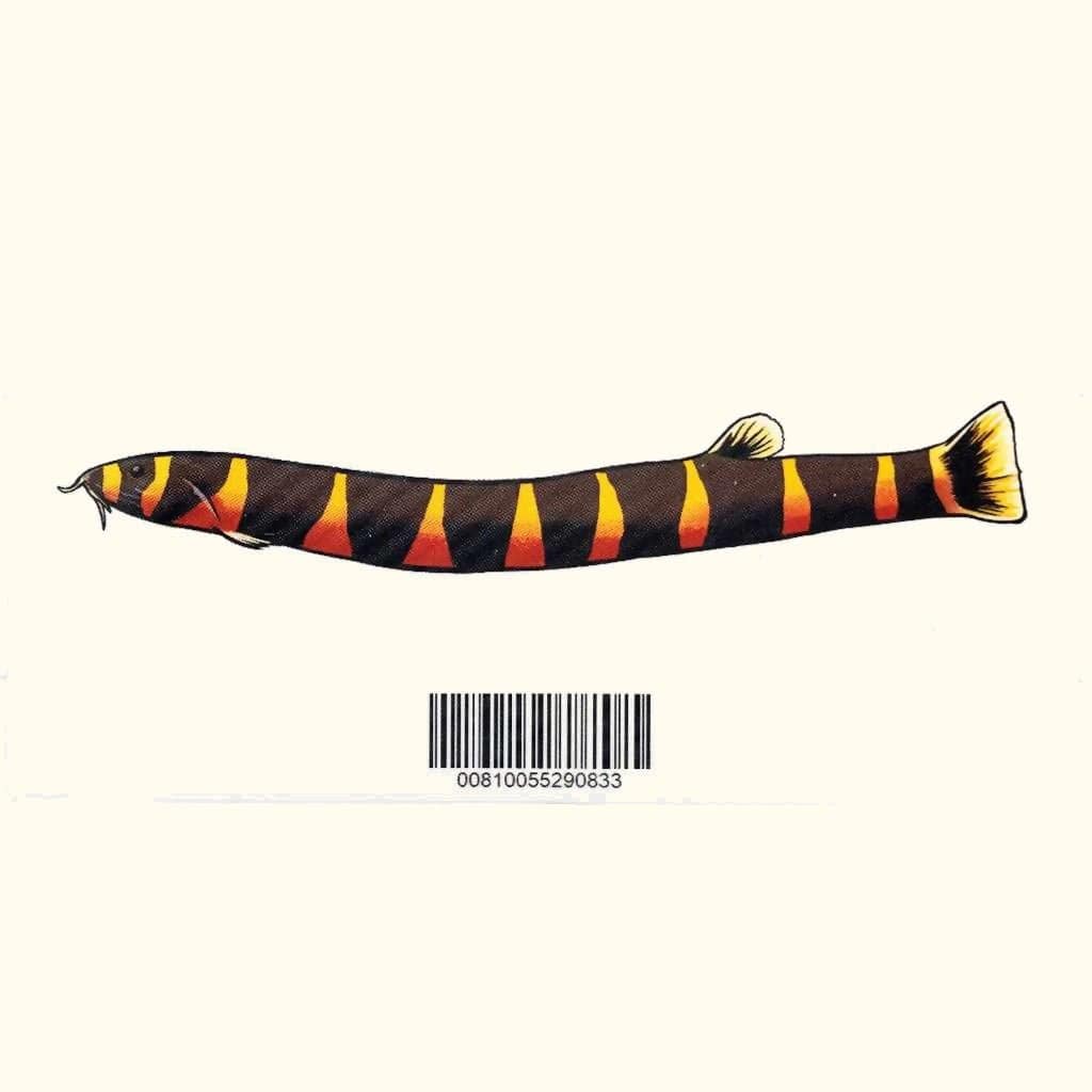 Kuhli Loach Decal Sticker