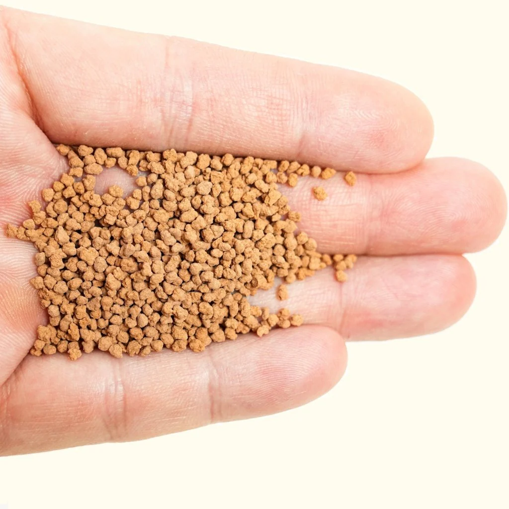 Magic Nuggets - Image 4