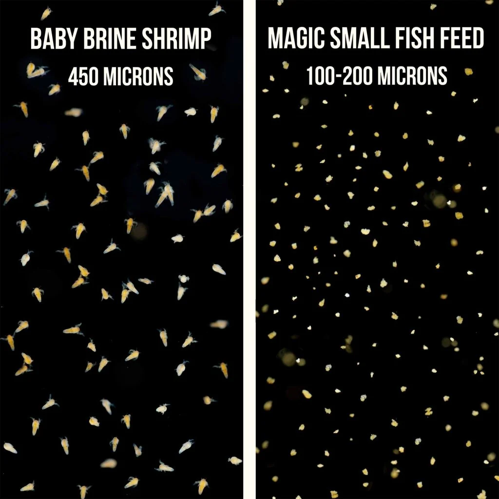 Magic Small Fish Feed - Image 6