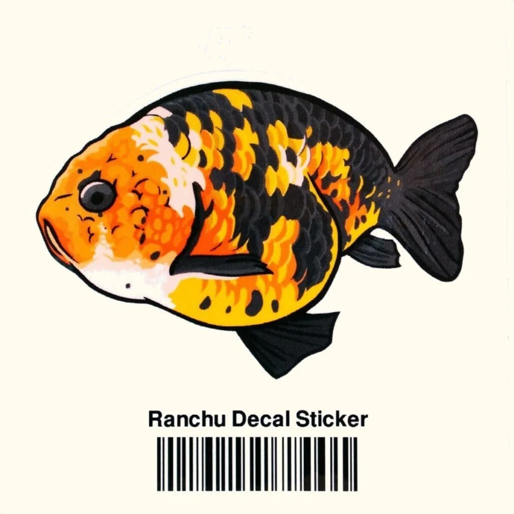 Ranchu Decal Sticker
