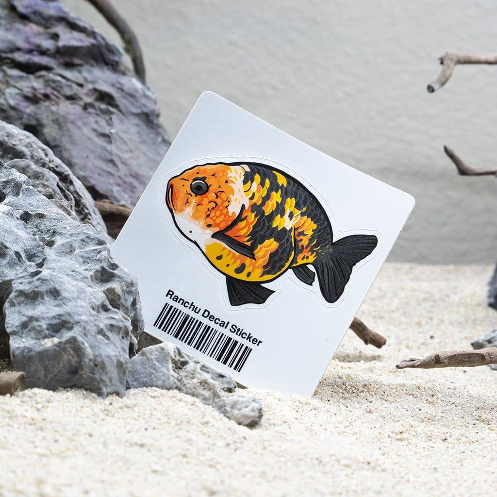 Ranchu Decal Sticker - Image 2