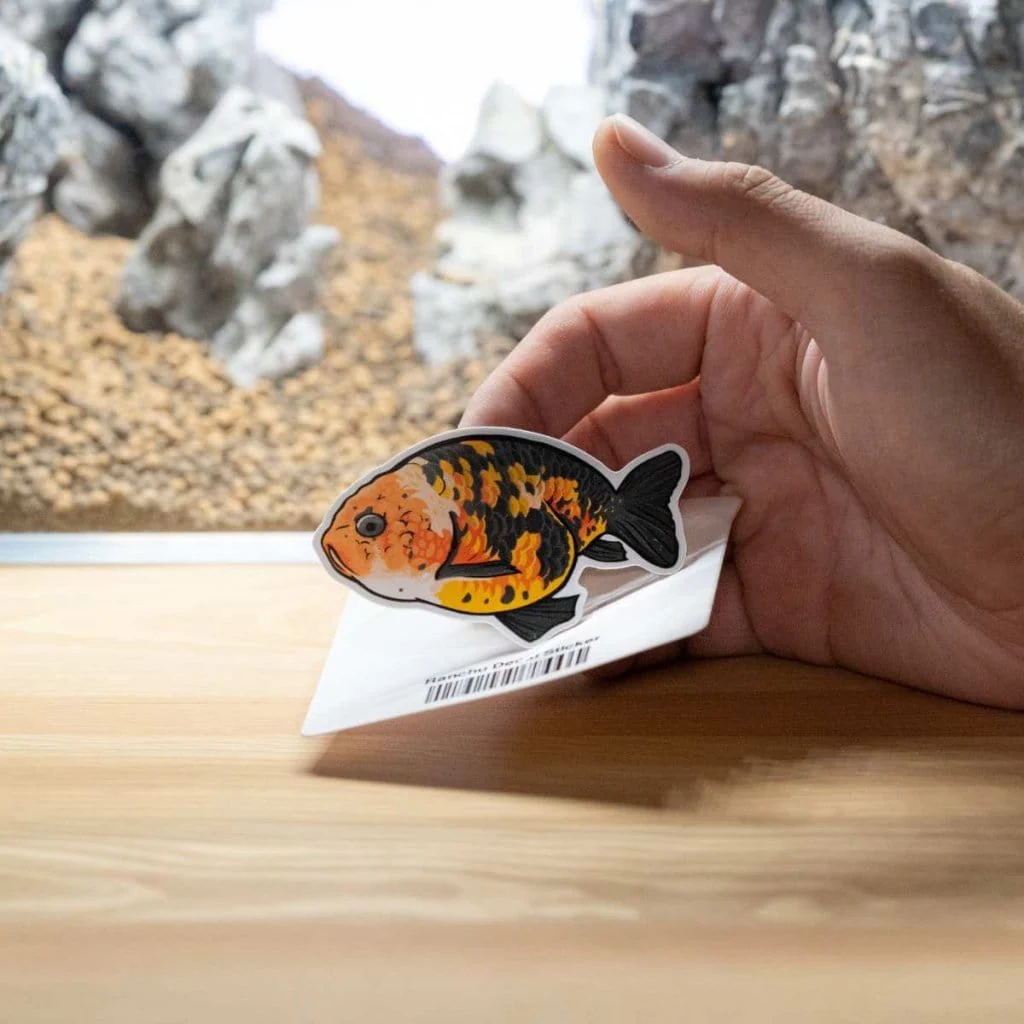 Ranchu Decal Sticker - Image 3