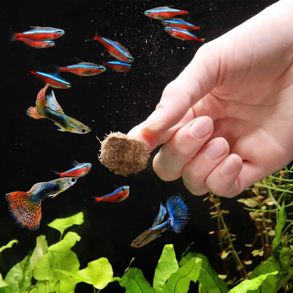 Scratch and Dent Aquarium Co-Op Freeze Dried Tubifex Worms - Image 5