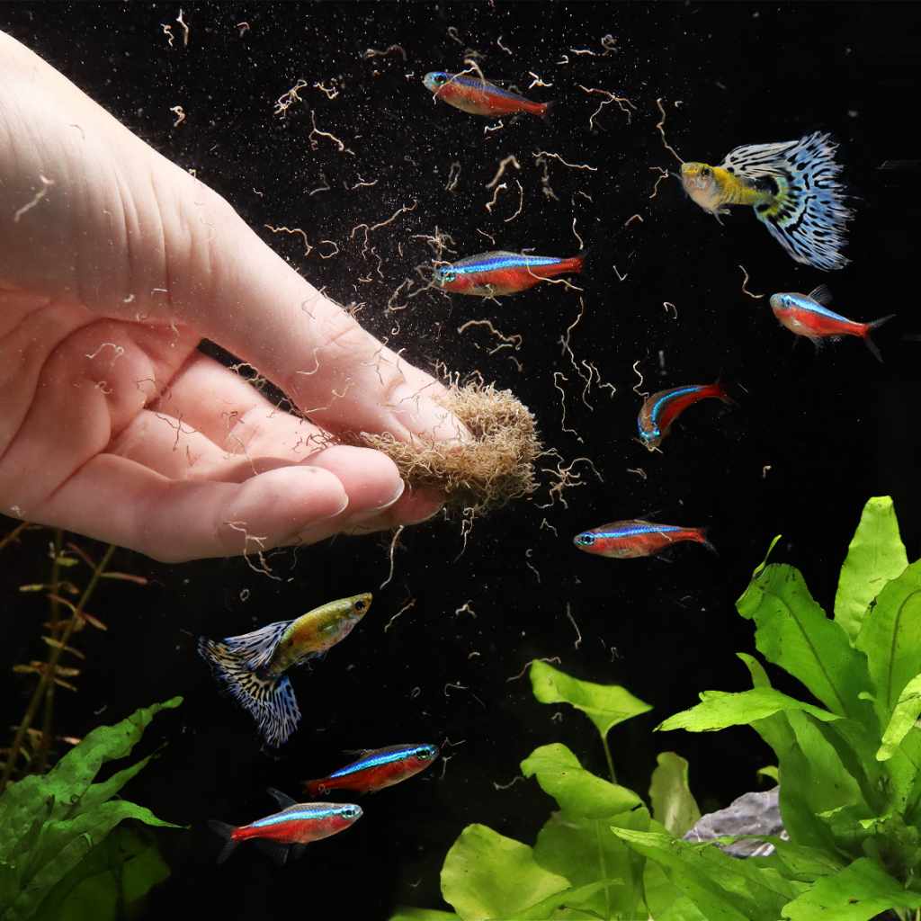Scratch and Dent Aquarium Co-Op Freeze Dried Tubifex Worms - Image 6