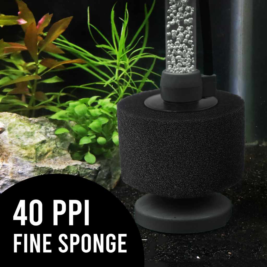 Black Easy Flow Sponge Filter (fine) - Image 3