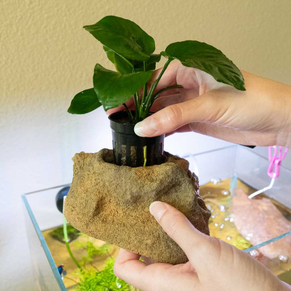 Easy Planter - Image 2