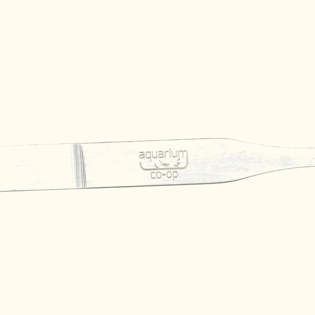 Scratch and Dent Planting Tweezers - Image 4