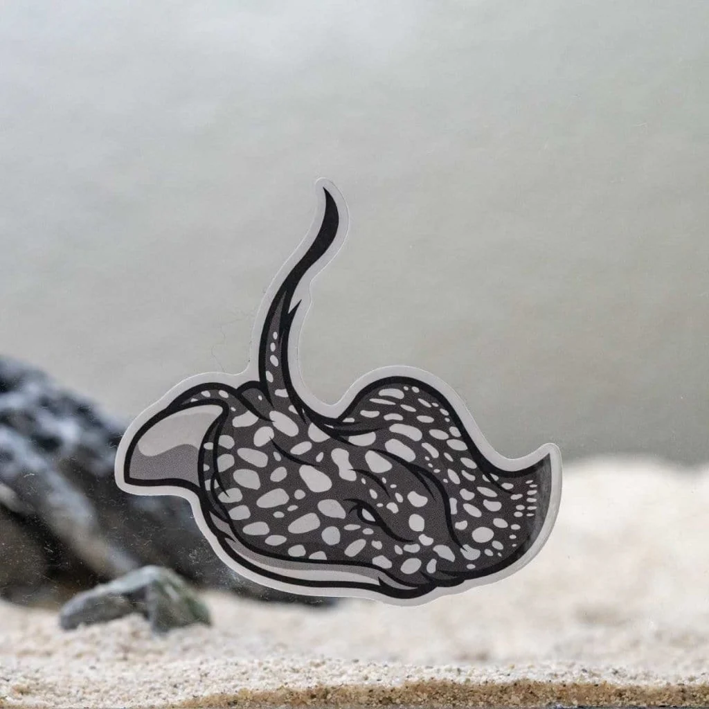 Stingray Decal Sticker - Image 3